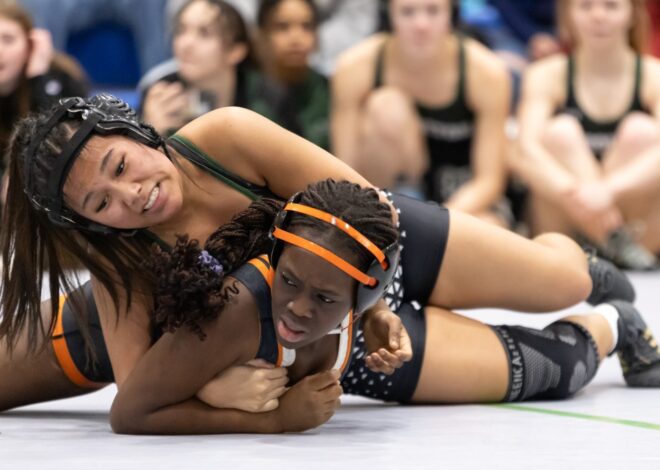 Girls wrestling tournament debuts at 56th Howard County championships